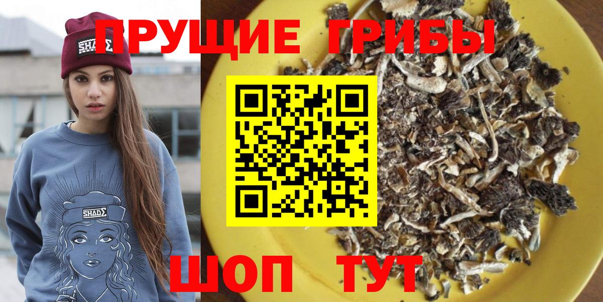 Псилоцибиновые грибы Cubensis  Вход с VPN  Волжский 