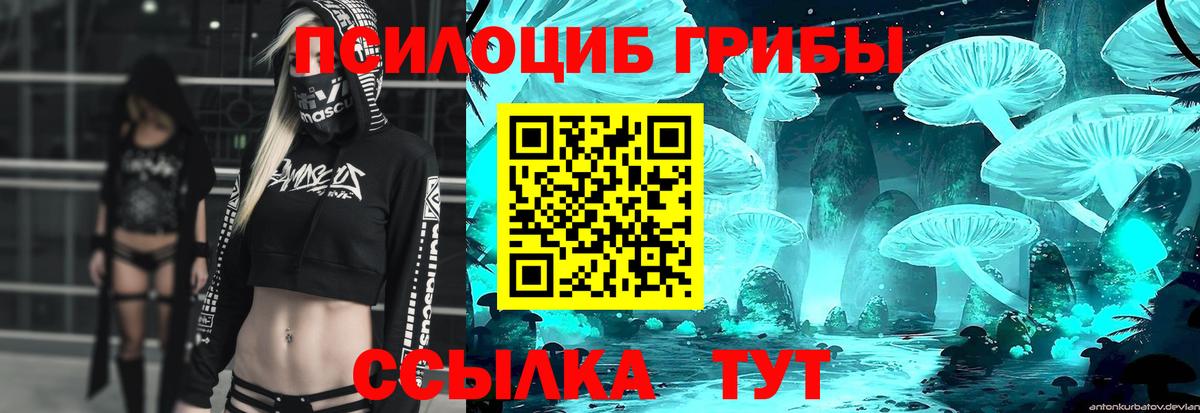 Галлюциногенные грибы мухоморы Волжский